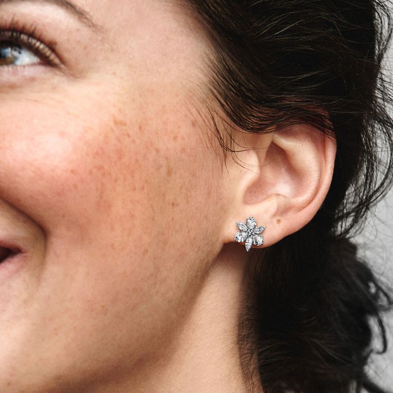Aretes de Tuerca en Plata Brillante Racimo Herbario -1
