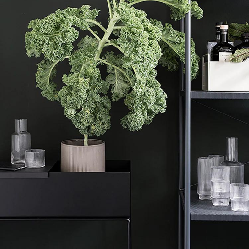 Plant Station 60 | Metal Black-1