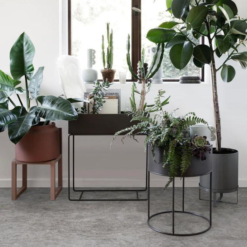 Plant Station 60 | Metal Black-2