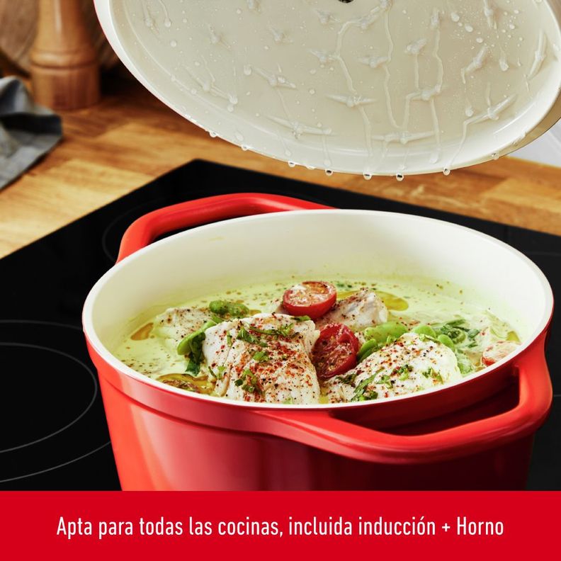 Olla Cocotte Air 20 cm-2