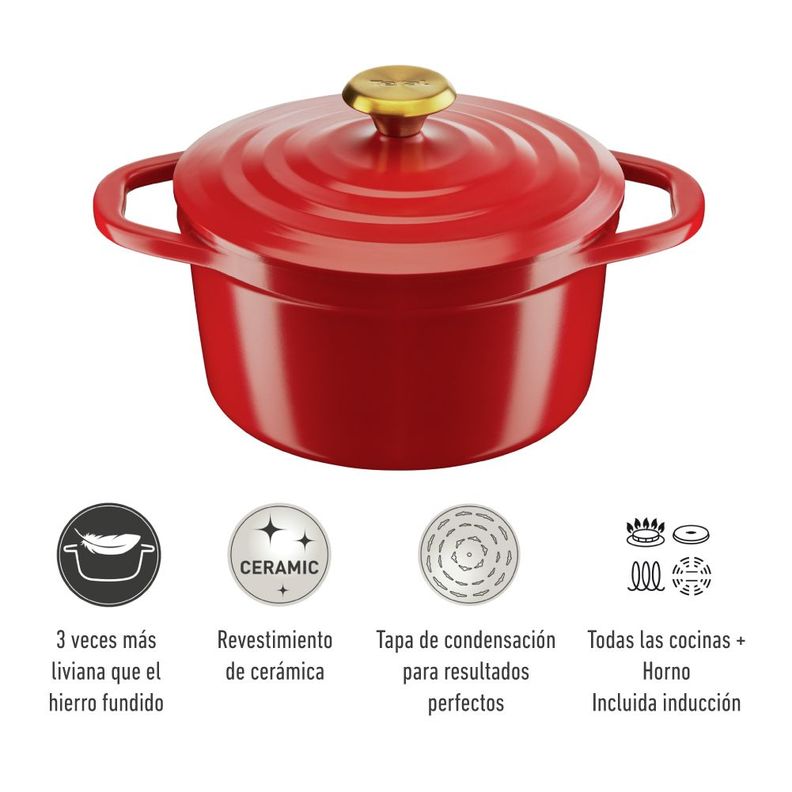 Olla Cocotte Air 20 cm-5
