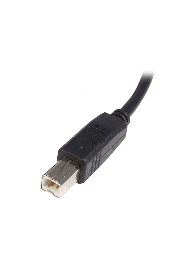 Cable USB para Impresora USB A a USB B de 2mts StarTech-2
