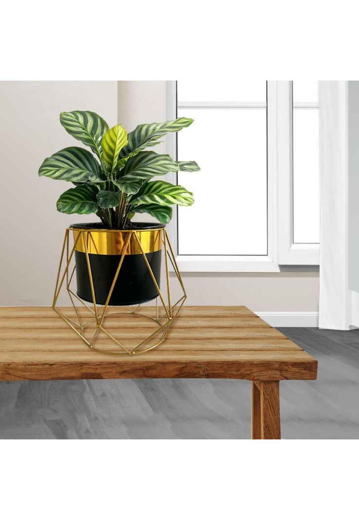 Macetero Decorativo Moderno - Estilo Pedestal Geométrico-2