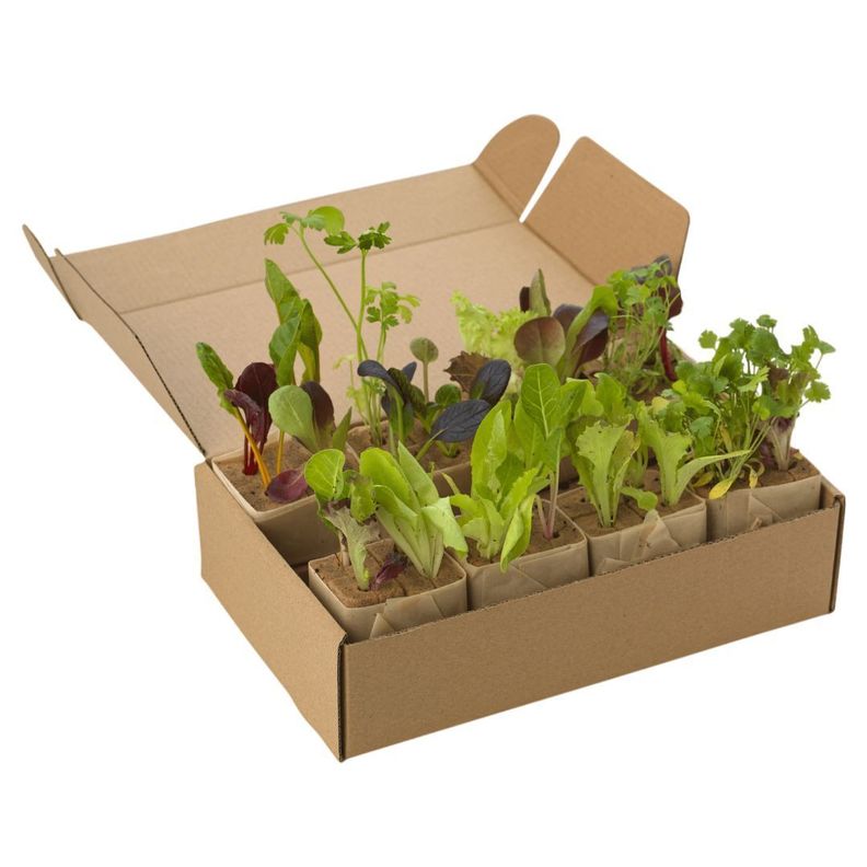 Stand Farm AquaPlants PRO-4