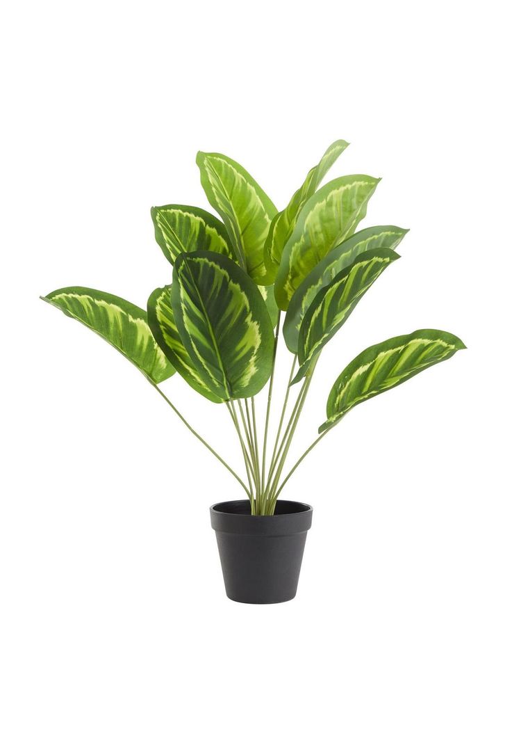 Planta artificial filodendro 50 cm-0