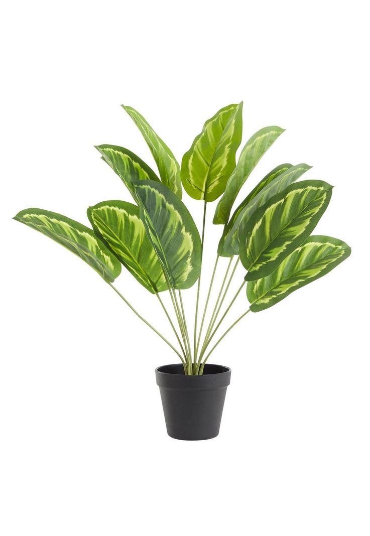Planta artificial filodendro 50 cm-2