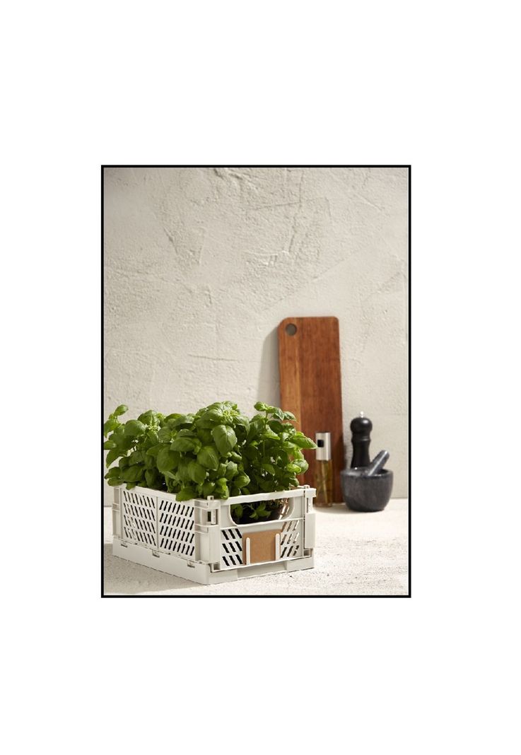 CAJA PLEGABLE 50X33X20CM BLANCA-4