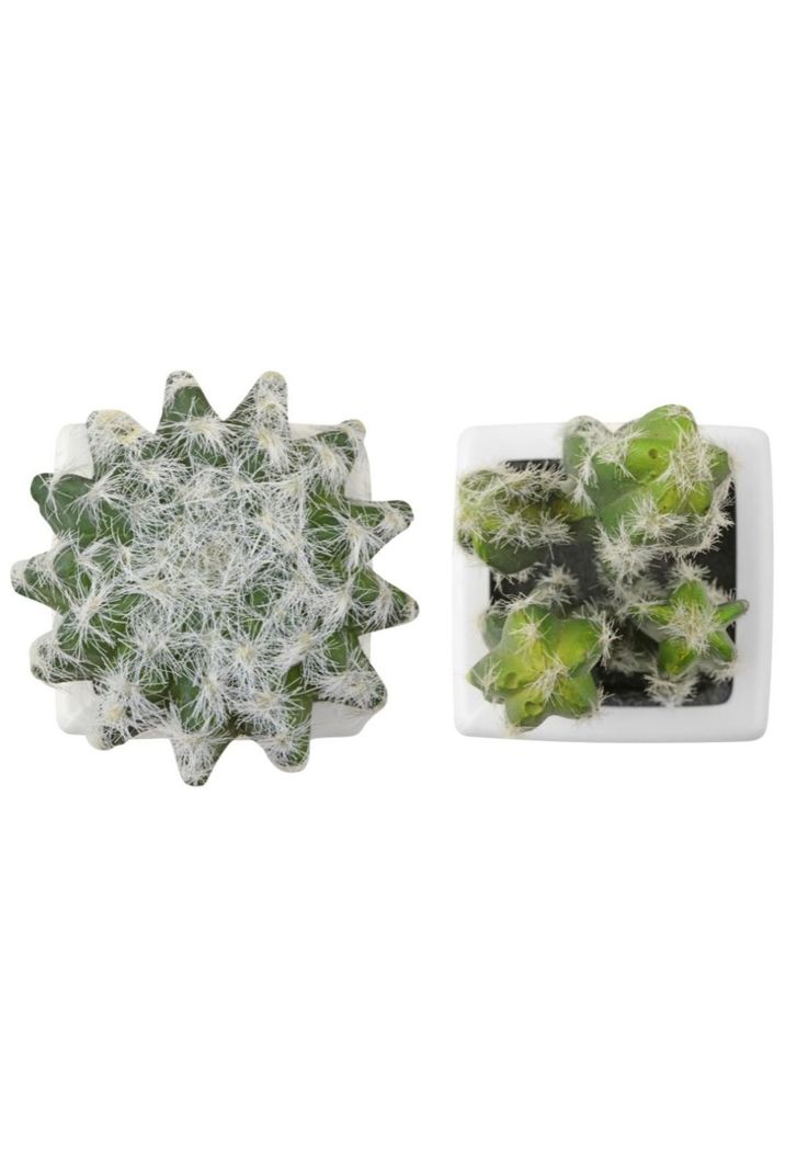 SET CACTUS ARTIFICIALES 7.5X7.5X11-0