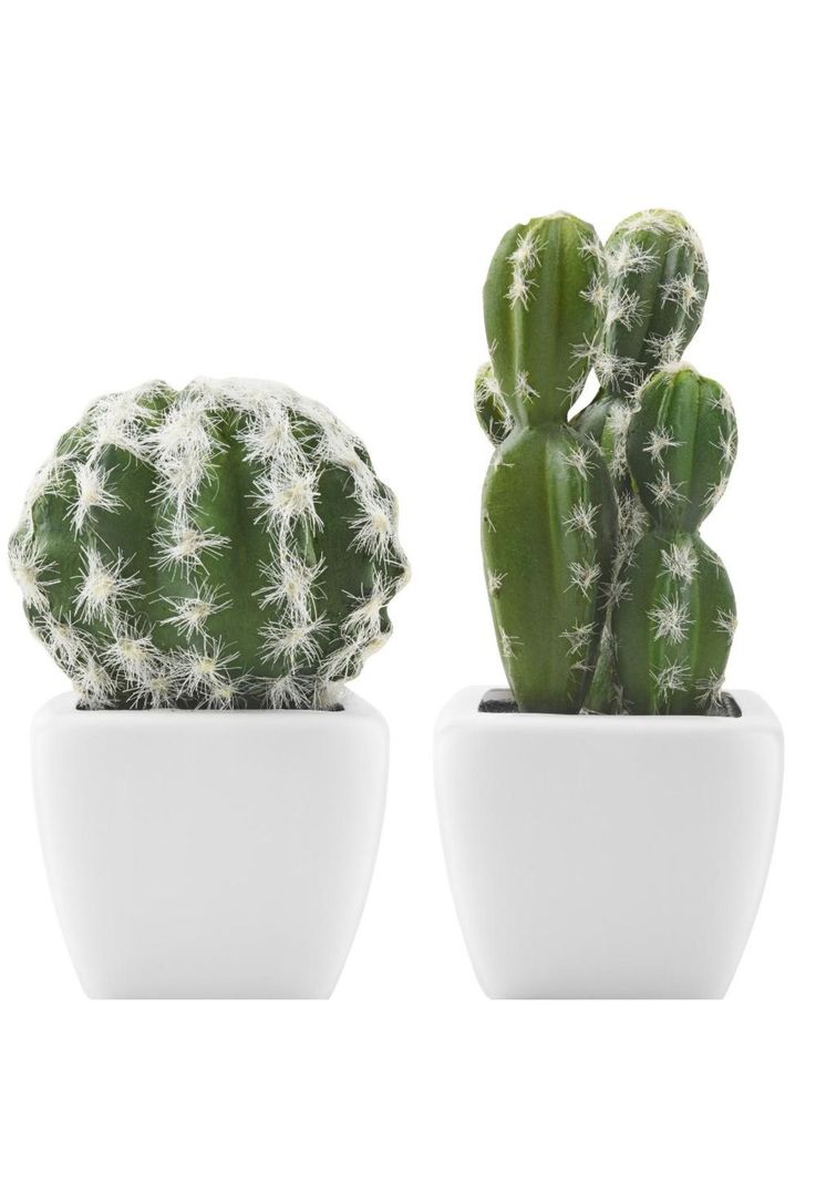 SET CACTUS ARTIFICIALES 7.5X7.5X11-1