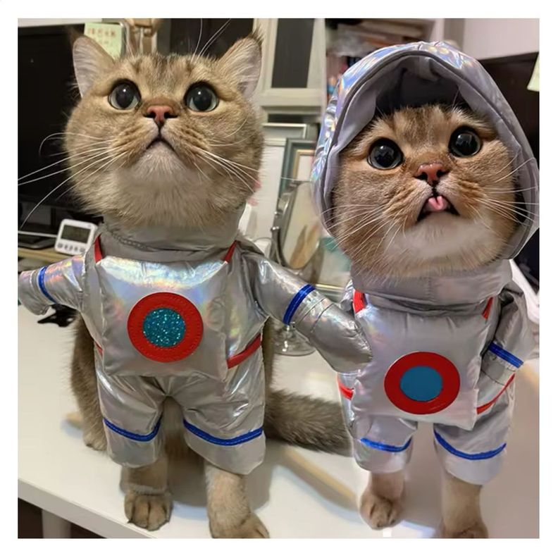 Disfraz De Halloween Para Mascotas Perros y Gatos De Astronauta-1