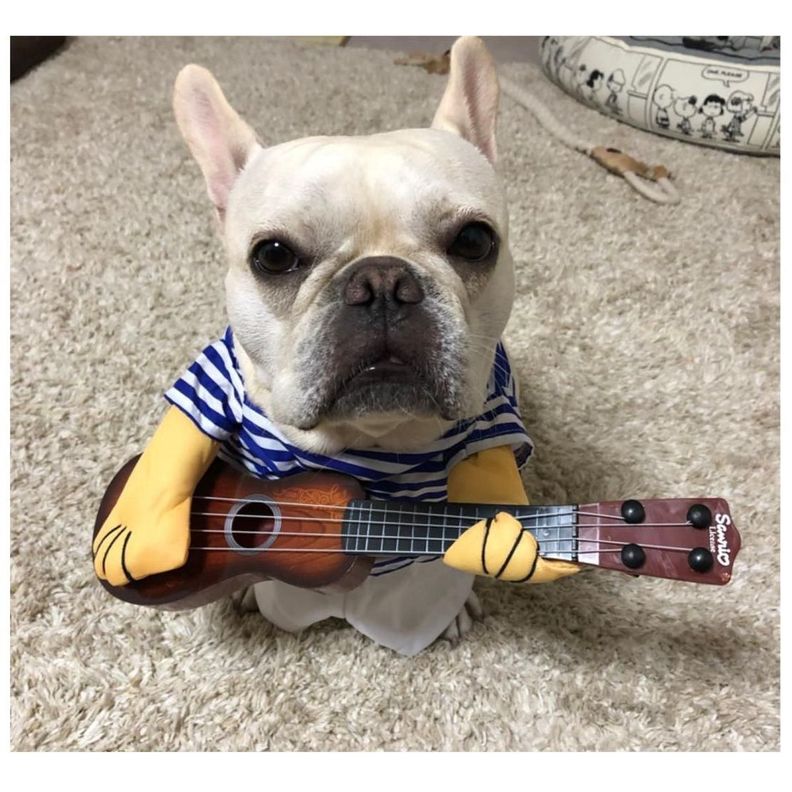 Disfraz Divertido Para Mascotas De Guitarrista Halloween-0