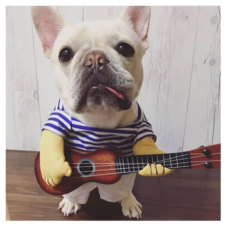 Disfraz Divertido Para Mascotas De Guitarrista Halloween-1