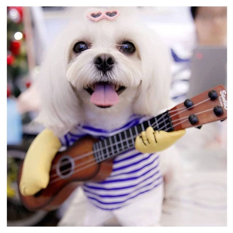 Disfraz Divertido Para Mascotas De Guitarrista Halloween-3