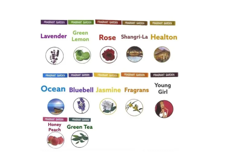 Pack De 12 Aceites Esenciales Aromaticos De 10ml C/U Variados-3
