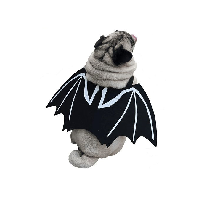 Disfraz De Murciélago Halloween Para Mascotas-4