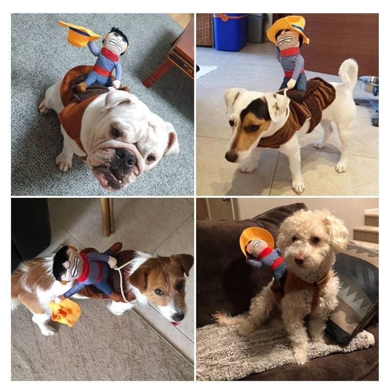 Disfraz De Vaquero Para Perros, Disfraz Con Muñeco y Sombrero Mascotas-4