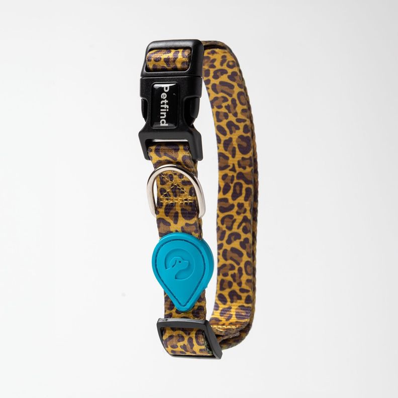 Collar Animal print L-1