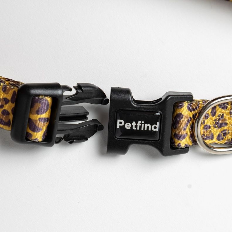 Collar Animal print L-2