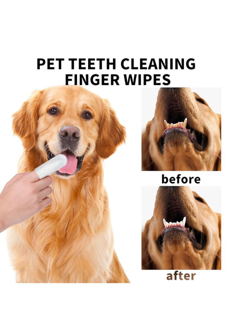 Toallitas Limpiadoras para dientes de mascotas 50 piezas-3