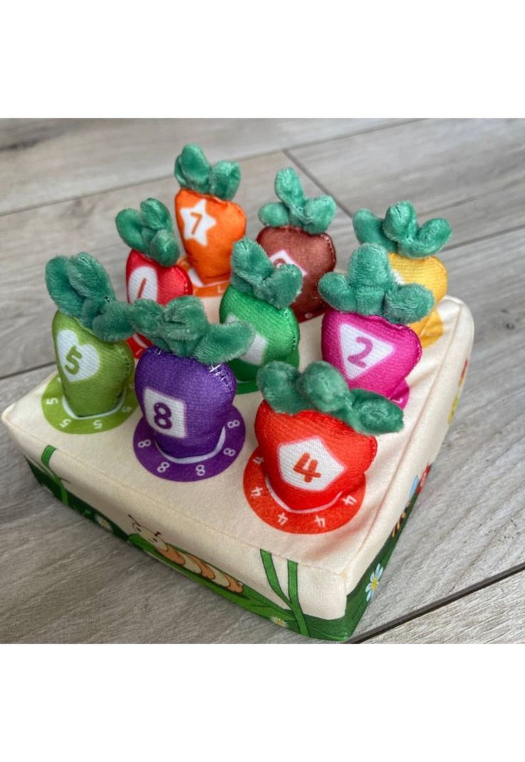 Juguete Encaje Zanahoria Aprendizaje Montessori-5