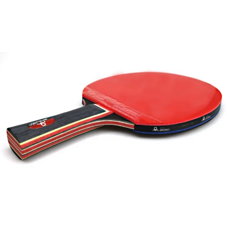 Pack 2 Paletas De Ping Pong + 4 Pelotas + Malla + Estuche alta calidad -3