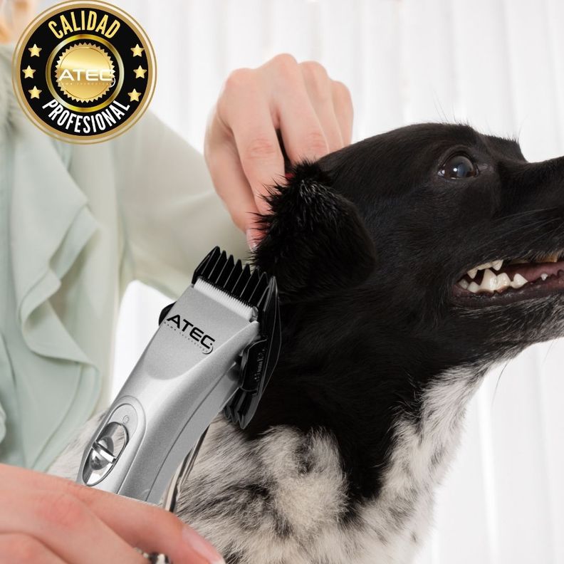 Máquina cortar pelo perro y mascotas ATEC-1