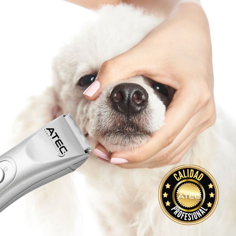 Máquina cortar pelo perro y mascotas ATEC-3