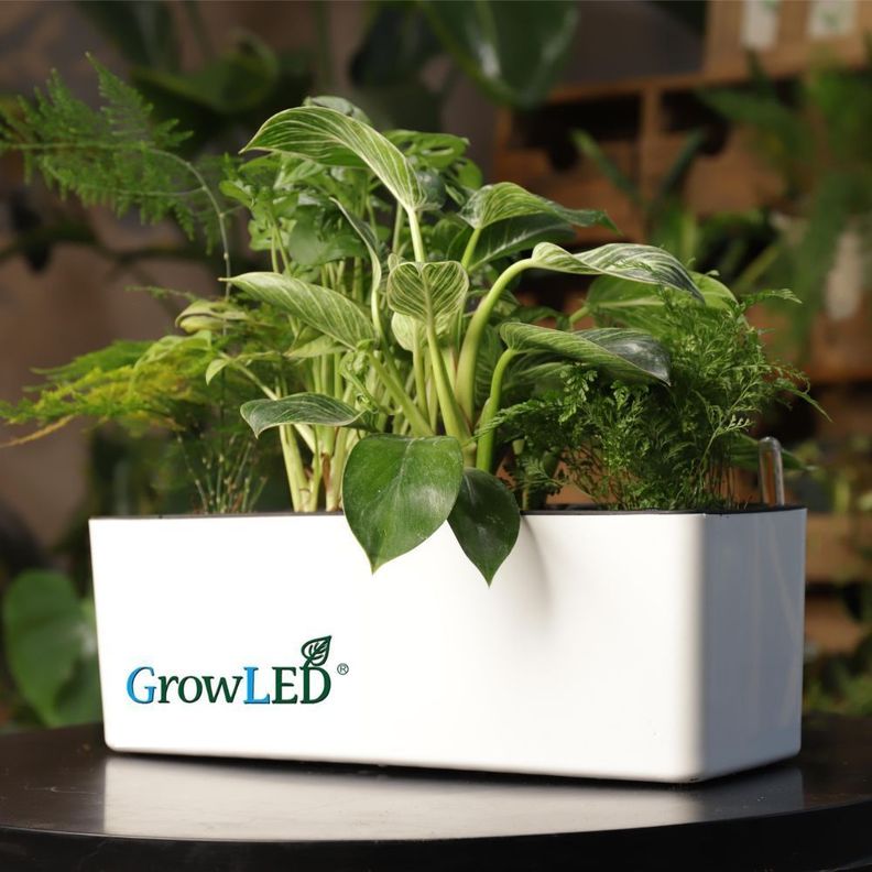 Macetero Autorregante 50 cms PLANTER PLUS-1
