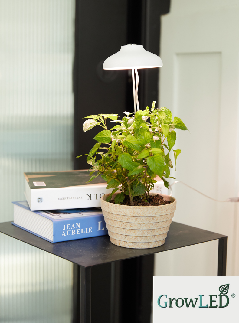Luz LED cultivo indoor GROWLED-7
