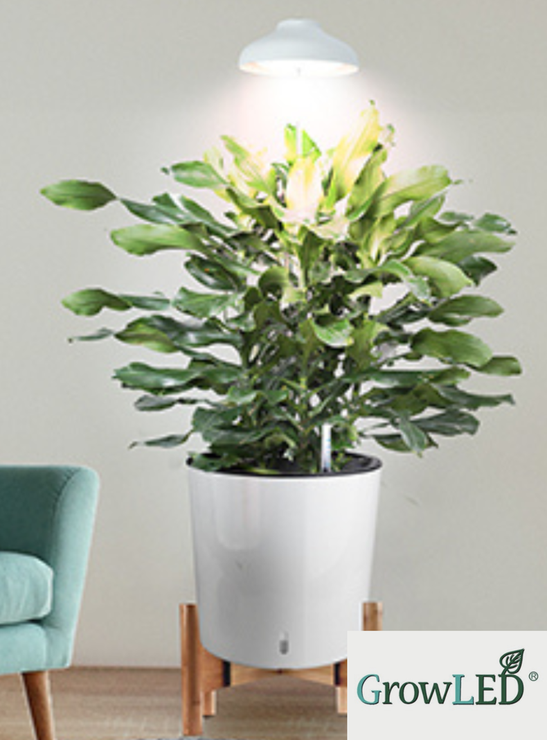 Luz LED cultivo indoor GROWLED-1