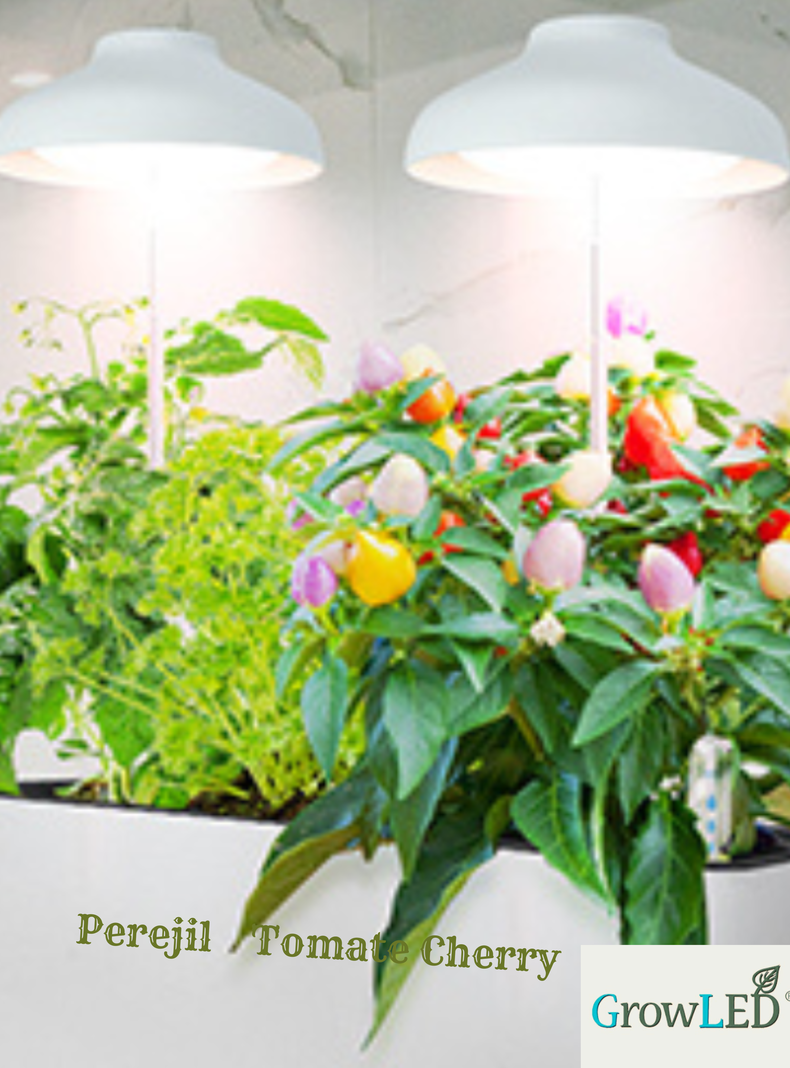 Luz LED cultivo indoor GROWLED-3