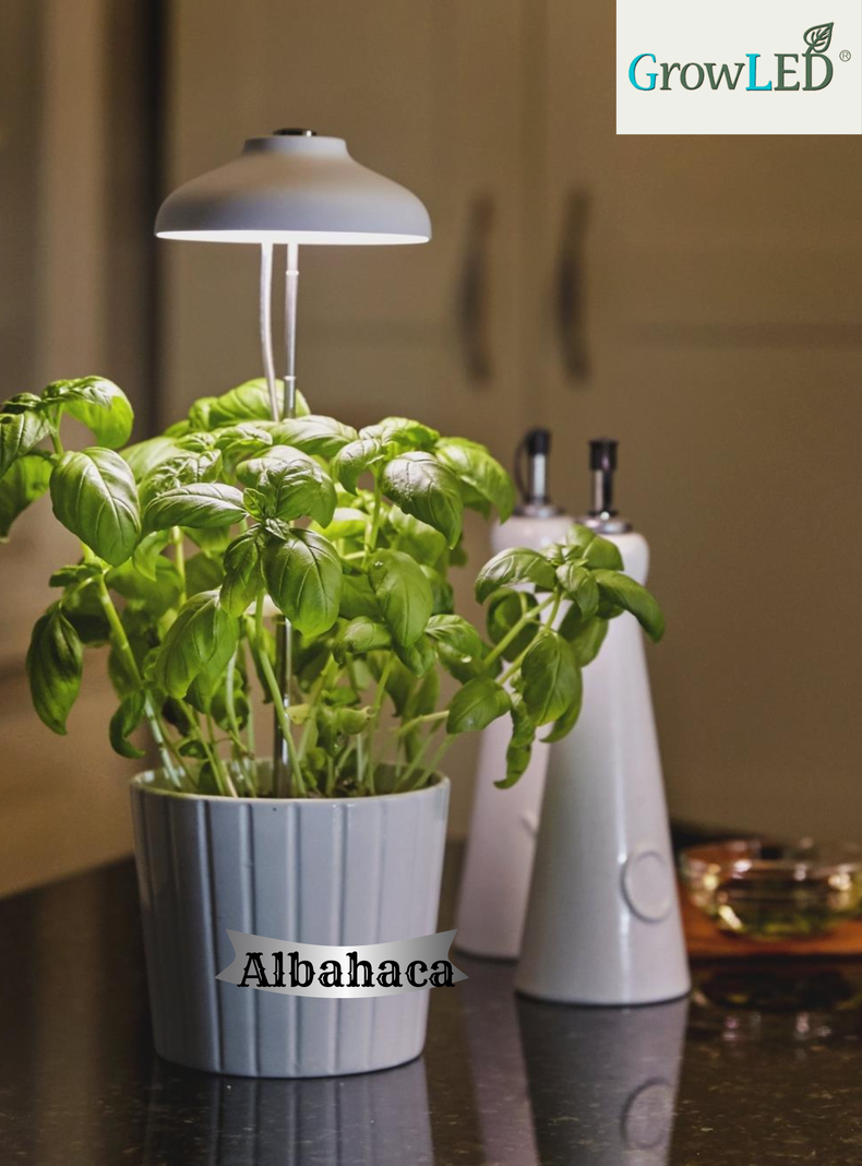 Luz LED cultivo indoor GROWLED-5