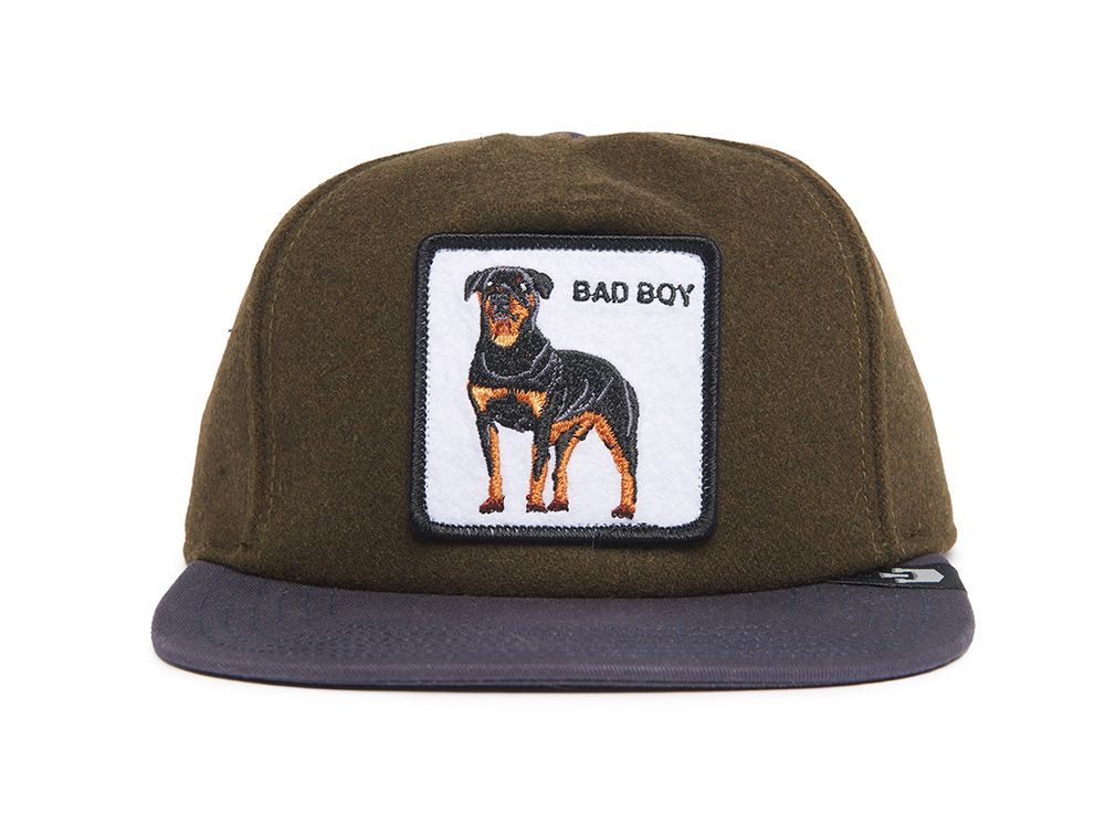 Jockey Goorin Top Dog Unisex Verde-1