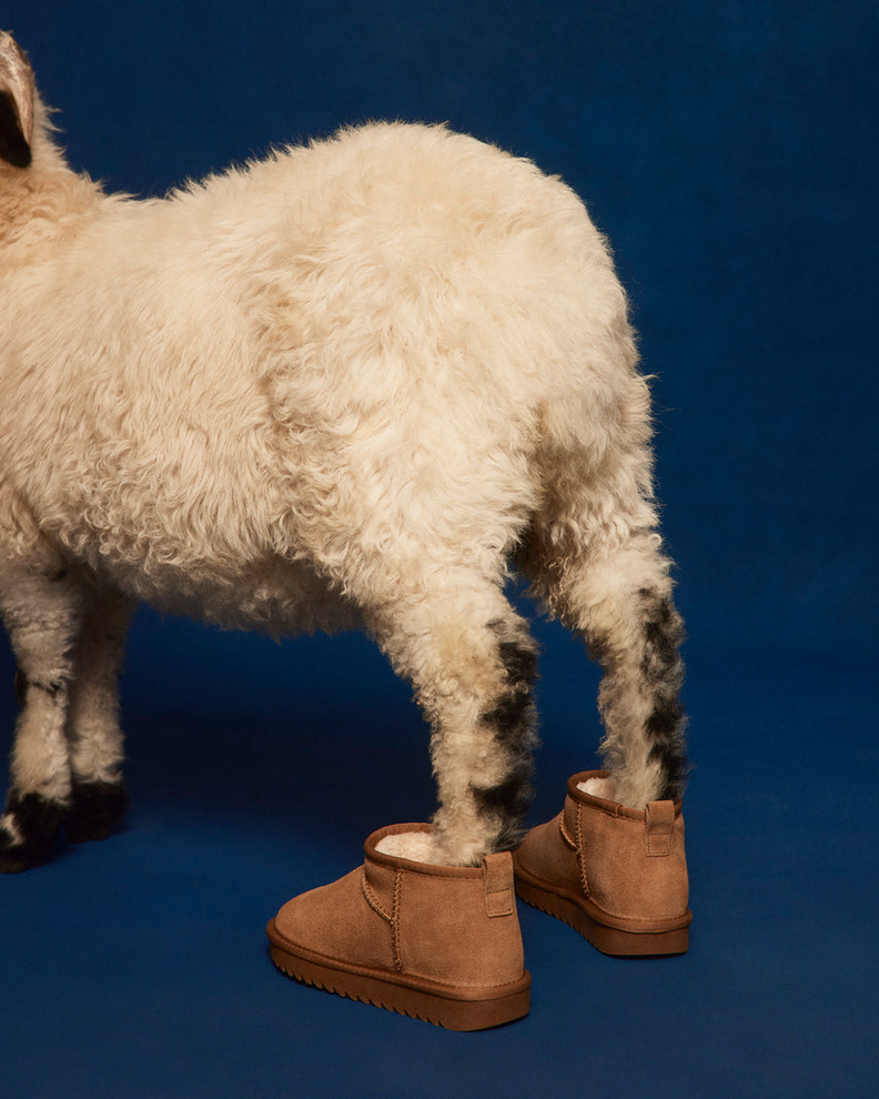 Botas Steve Madden Cabin Tan Suede-6