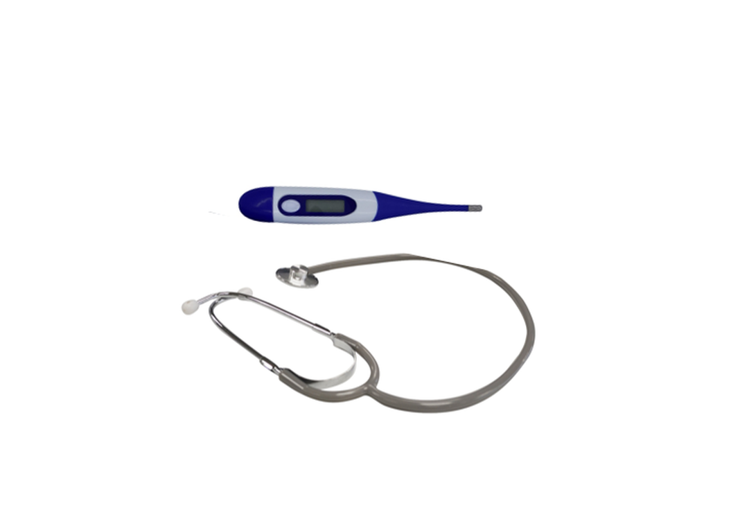 Pack estetoscopio basico gris + Termometro digital flexible unidad Blanco