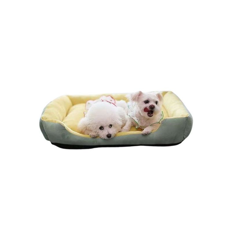 Cama Para Mascotas XL Con Juguete Máxima Comodidad Amarilla-2