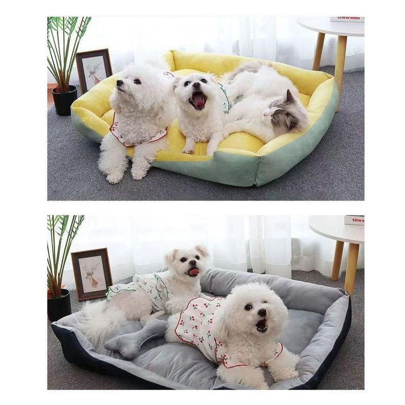 Cama Para Mascotas XL Con Juguete Máxima Comodidad Amarilla-4