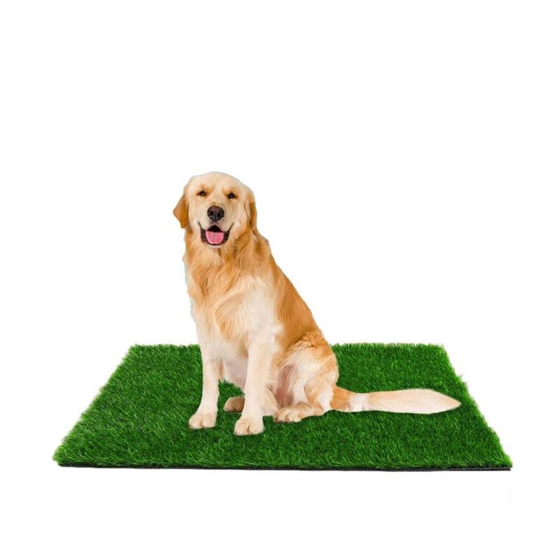 Alfombra Baño Ecológico Sanitario para Mascotas 80x100cm-0