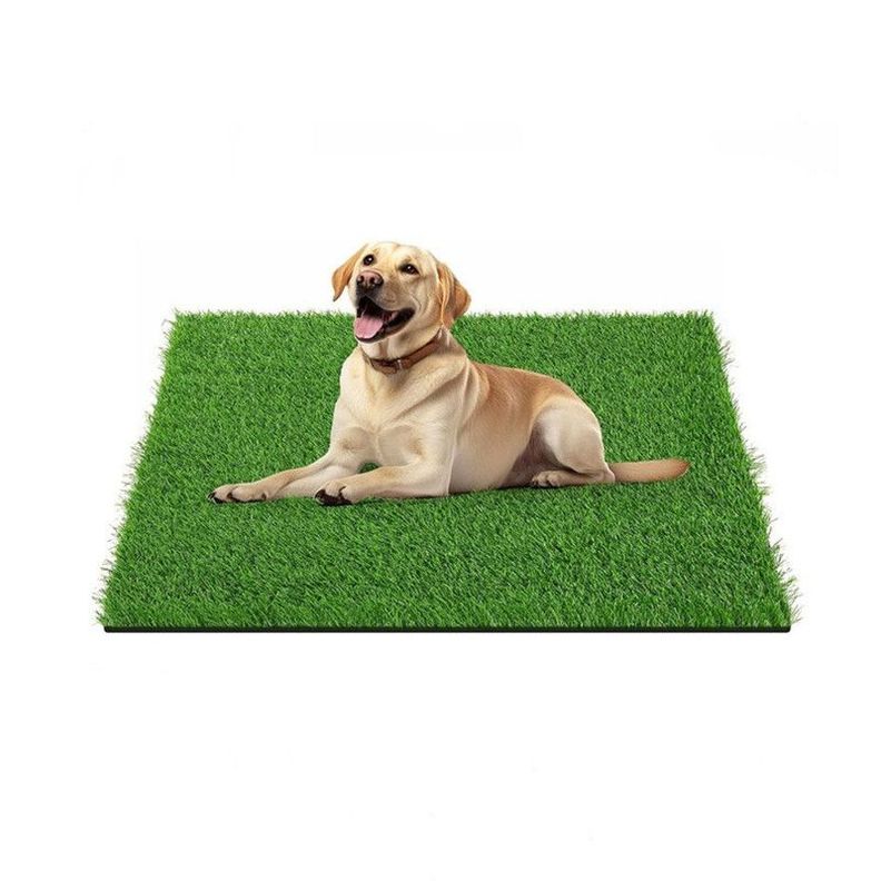 Alfombra Baño Ecológico Sanitario para Mascotas 80x100cm-3