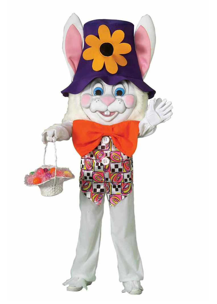 Disfraz Niño Conejo De Pascua-0