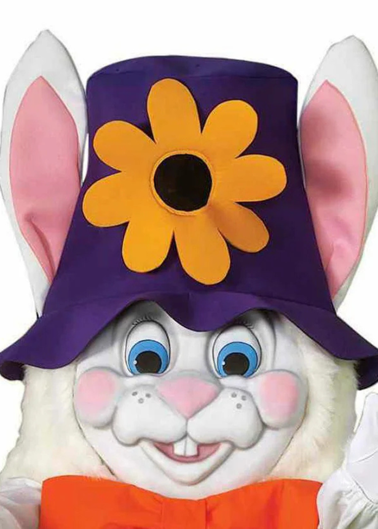 Disfraz Niño Conejo De Pascua-1