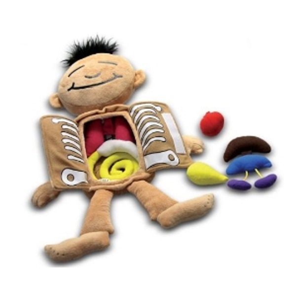 Muñeco Educativo Del Cuerpo Humano-0