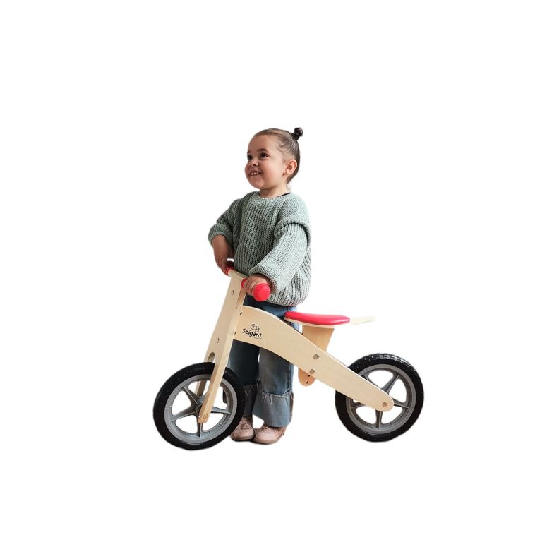 Bicicleta De Madera-0