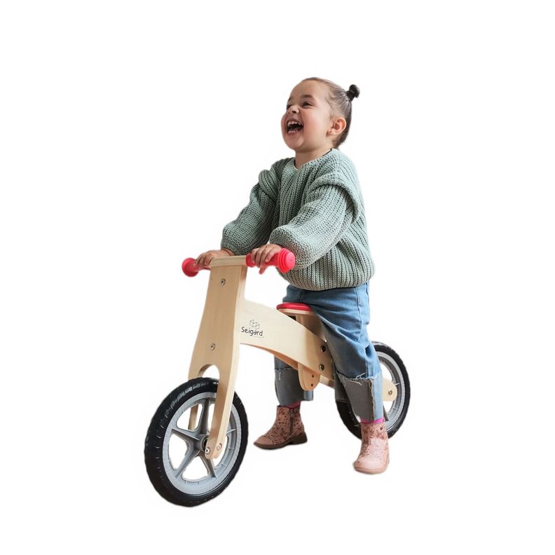 Bicicleta De Madera-1