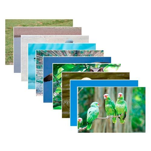 Set De Fotografías Aves-0