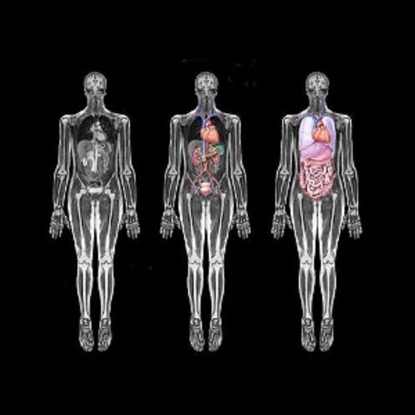 Set De Imágenes De Scanner Y Resonancias Cuerpo Humano-0