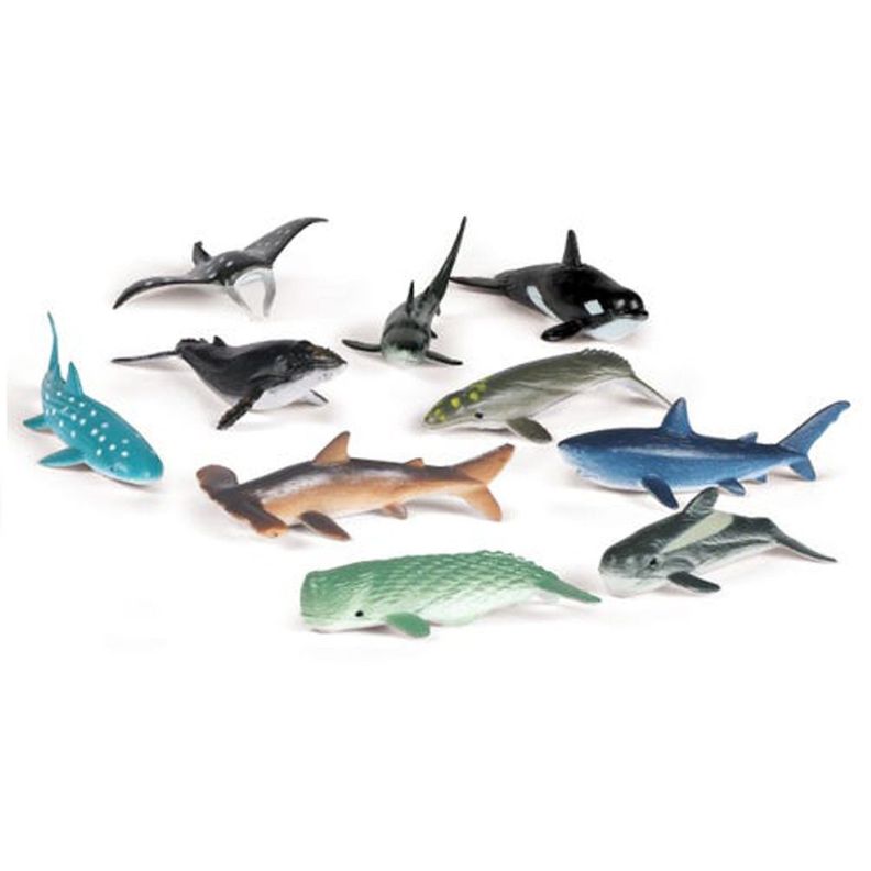 Set 50 Animales Del Océano-1