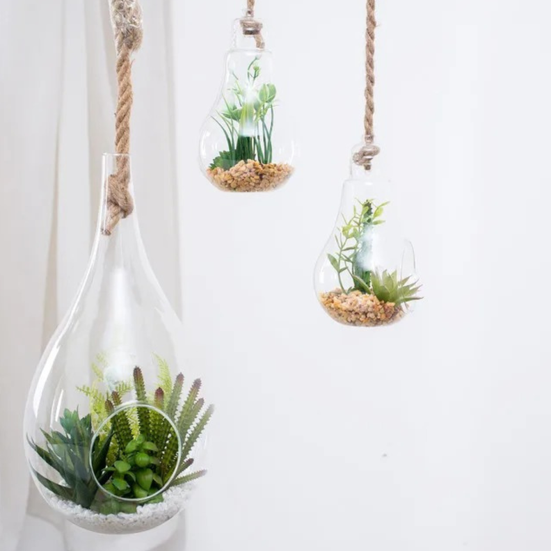 Terrario Colgante De Vidrio En Forma De Gota Para Plantas-2