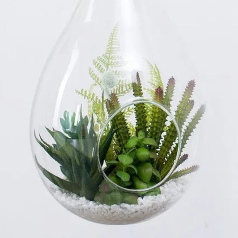 Terrario Colgante De Vidrio En Forma De Gota Para Plantas-3