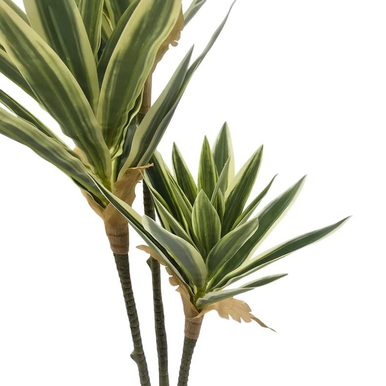 Planta Artificial Dracena Grande En Macetero Plastico Blanco-4